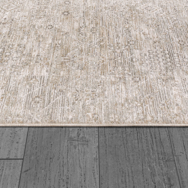 Dynamic Rugs Dharma 12043 Power Loomed Transitional Beige/Multi Rug