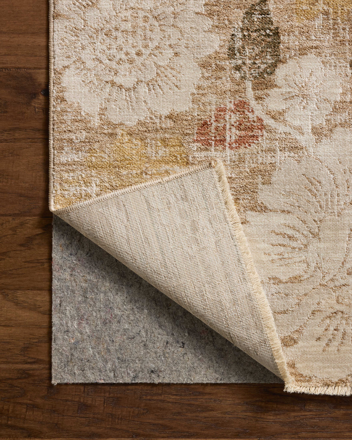 Loloi Eileen ELE-03 Transitional Power Loomed Natural, Multi Rug