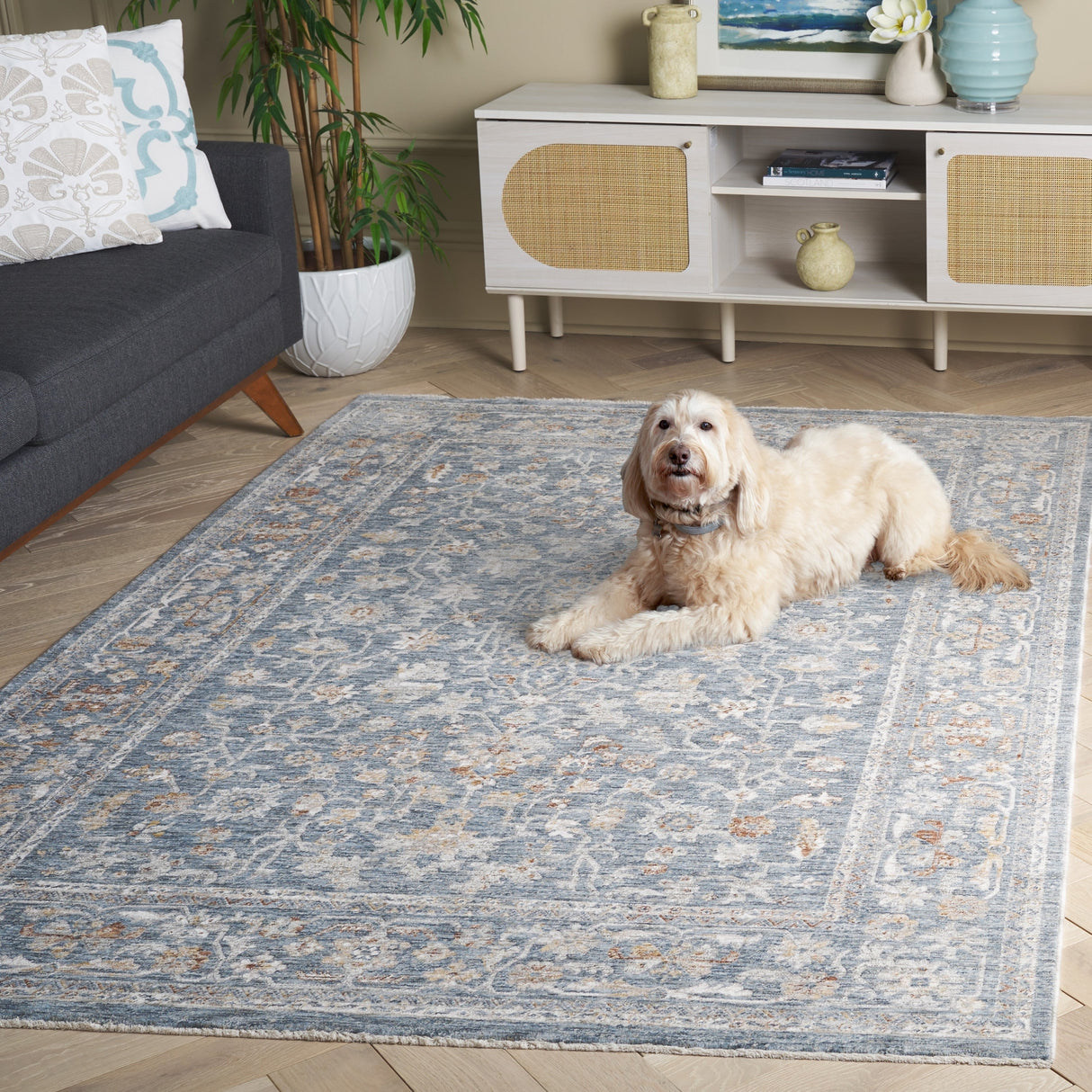 Safavieh Mason Msn118M Blue/Beige Rug.