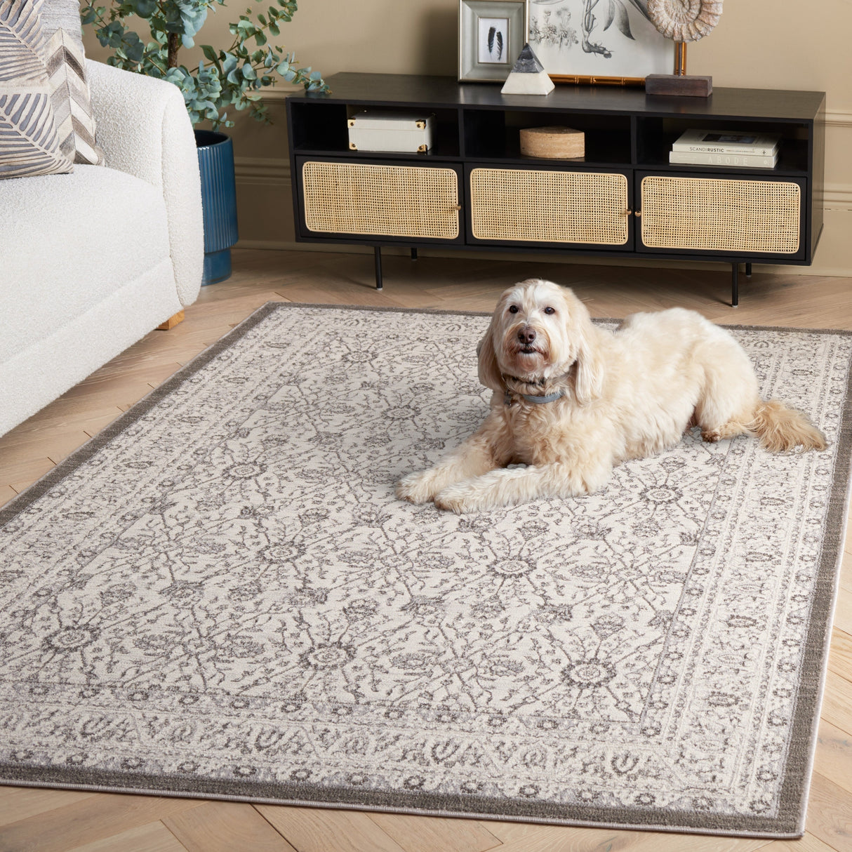 Safavieh Orchard Orc216F Grey/Silver Rug.