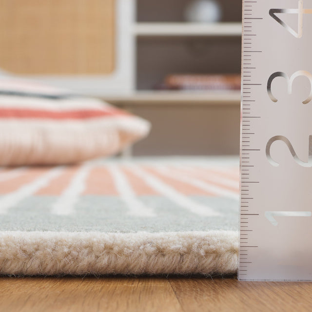 Safavieh Rodeo Drive Rd376F Grey/Rust Rug.