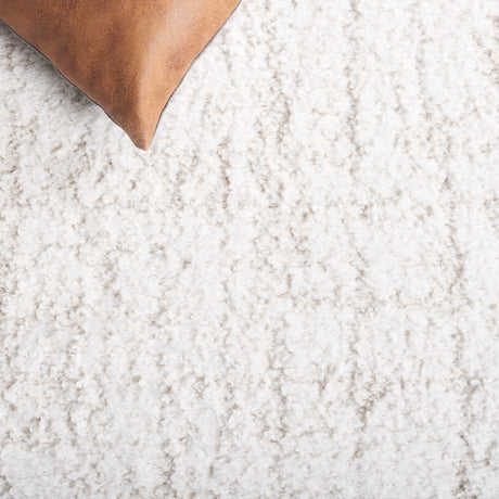 Safavieh Rumi Shag Rms124A Ivory/Light Beige Rug.