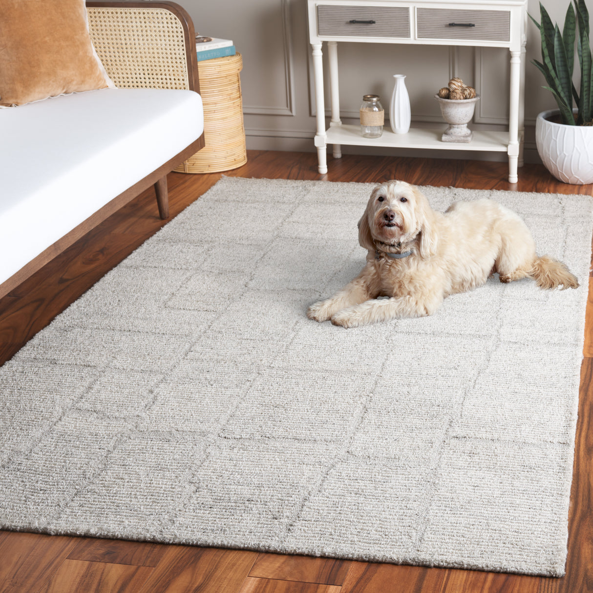 Safavieh Renewal Rnw201G Light Grey Rug.