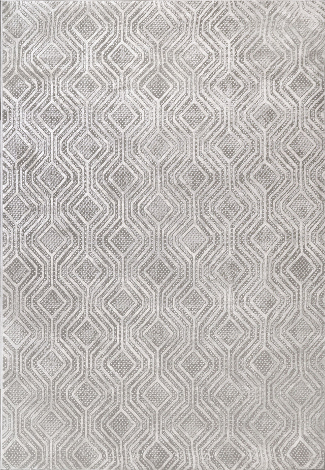 Dynamic Rugs Rori 9351 Power Loomed Modern Grey Rug