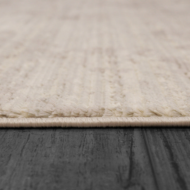 Dynamic Rugs Rori 9353 Power Loomed Modern Ivory/Beige Rug