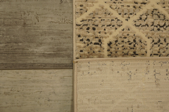Dynamic Rugs Rori 9354 Power Loomed Modern Ivory/Charcoal Rug