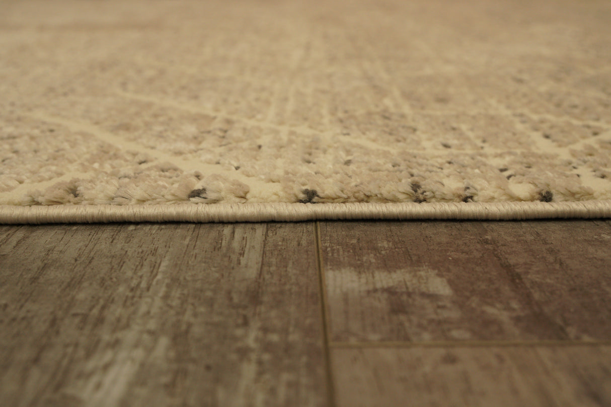 Dynamic Rugs Rori 9354 Power Loomed Modern Ivory/Charcoal Rug