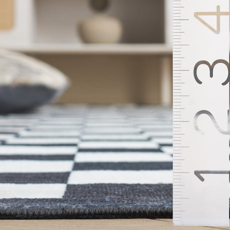 Safavieh Santa Clara Scl936A Ivory/Black Rug.