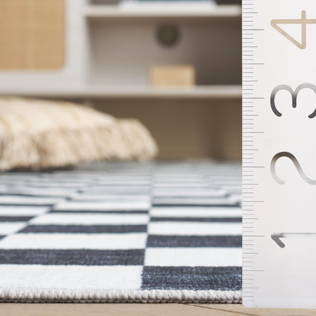 Safavieh Santa Clara Scl937A Ivory/Black Rug.