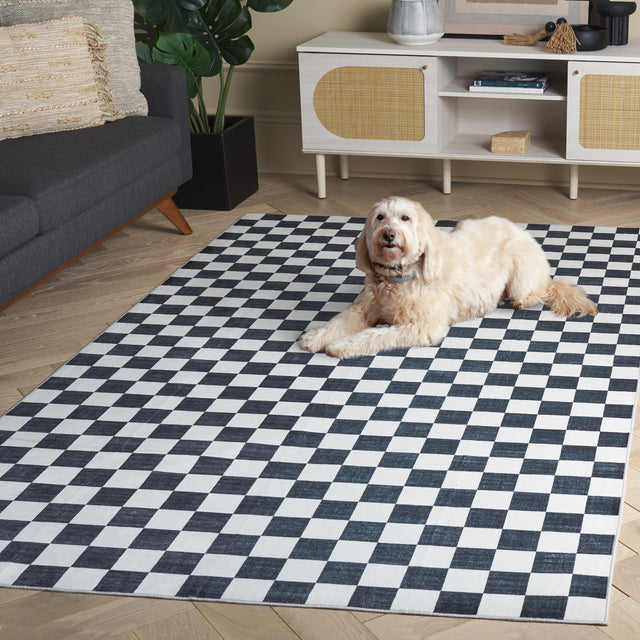 Safavieh Santa Clara Scl937A Ivory/Black Rug.