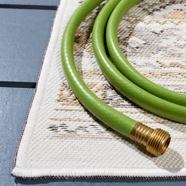 Safavieh Sunrise Sun630B Ivory/Beige Brown Rug.