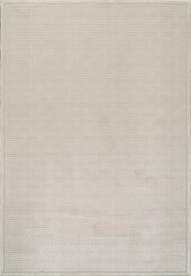 Dynamic Rugs Timeless 6922 Power Loomed Modern Beige Rug