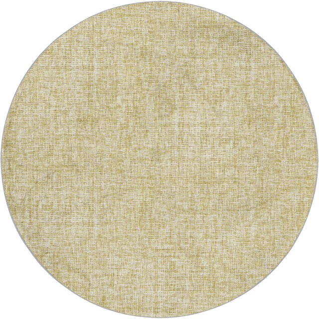 Dalyn Voyage VY1 Transitional Machine Made Wheat Rug