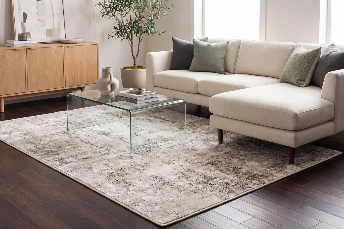 Dynamic Rugs Quartz 27061 Ivory / Grey Rugs - Room