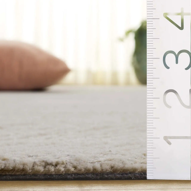 Safavieh Ebony 4'-0" x 6'-0" Rug in Ivory / Beige