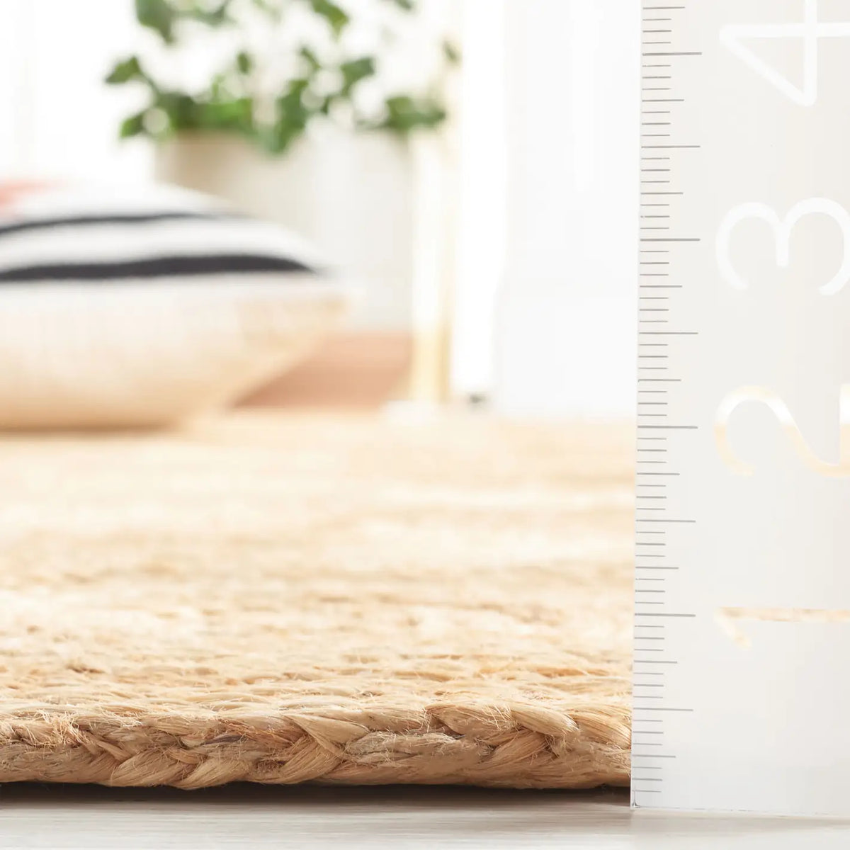 Safavieh Natural Fiber 4'-0" x 6'-0" Rug in Natural