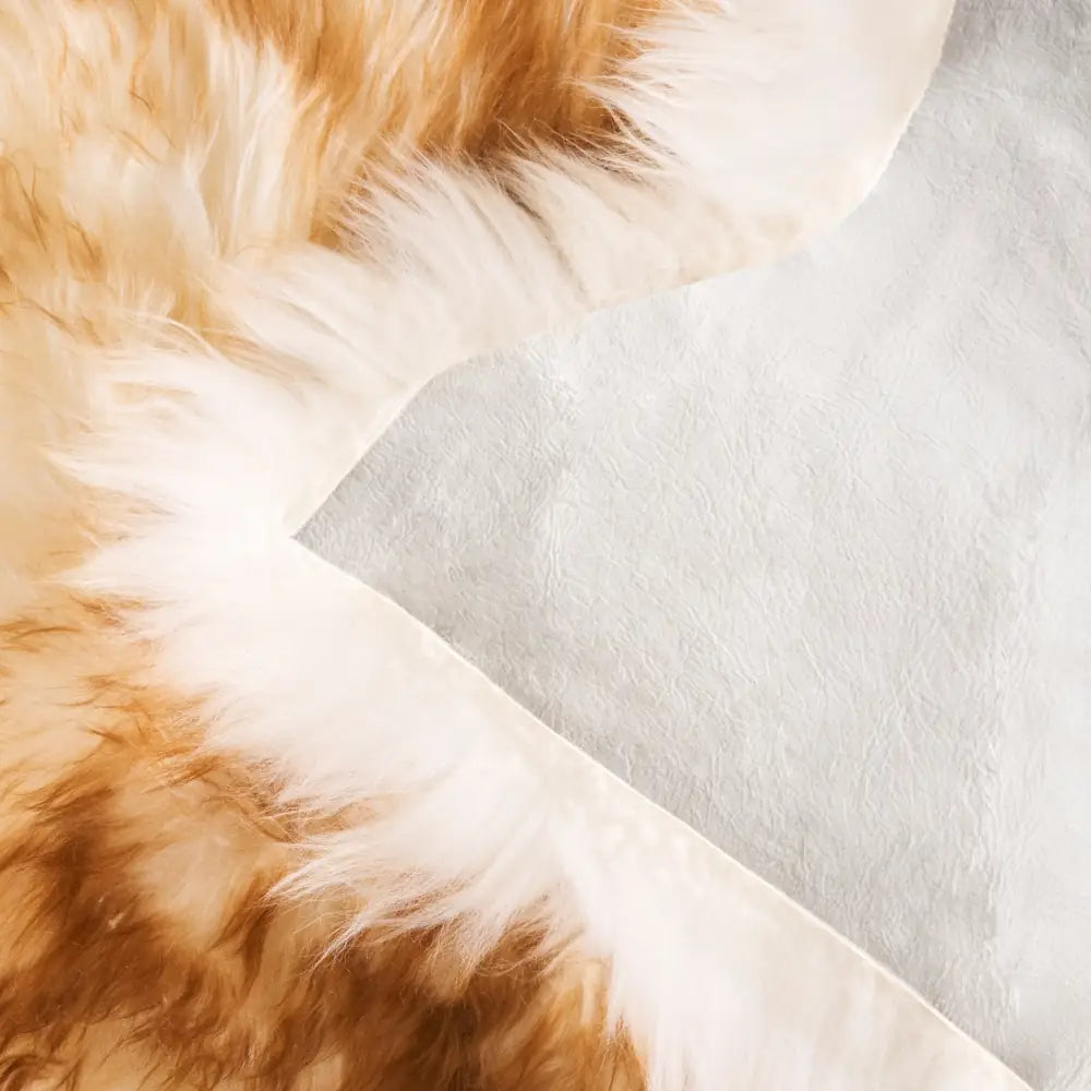Safavieh Sheep Skin 2'-0" x 3'-0" Rug in Off White / Coco Brown