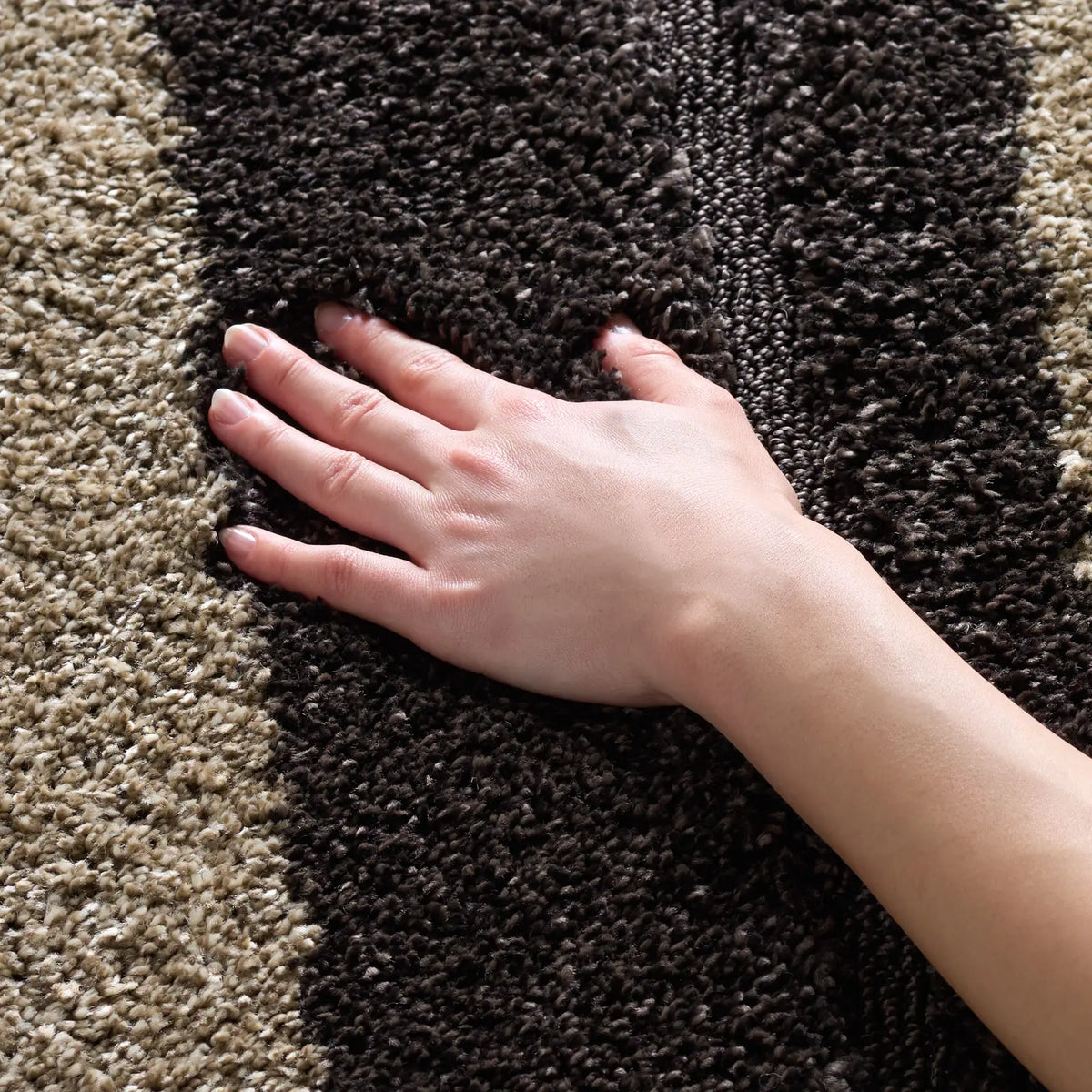 Safavieh Florida Shag 4'-0" x 6'-0" Rug in Dark Brown / Beige