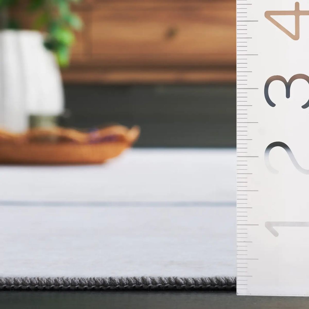 Safavieh Santa Monica 4'-0" x 6'-0" Rug in Grey / Light Grey