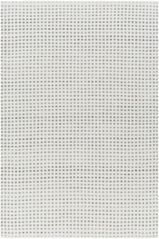 Surya Ariel Ail-2300 Light Silver, Off-White, Pale Slate, Metallic - Silver Rug.