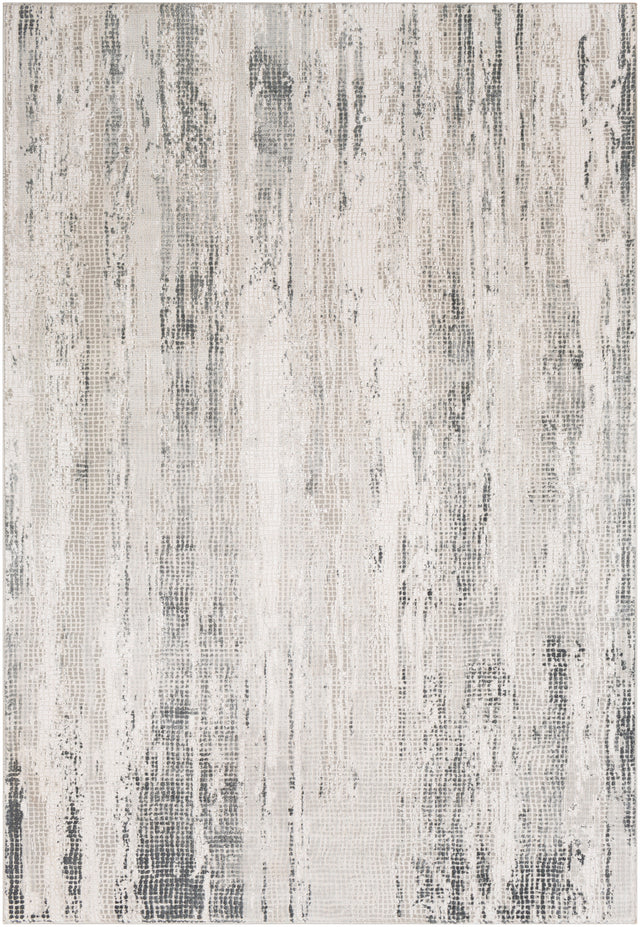 Surya Aisha Ais-2304 Medium Gray, Charcoal, Light Gray Rugs.