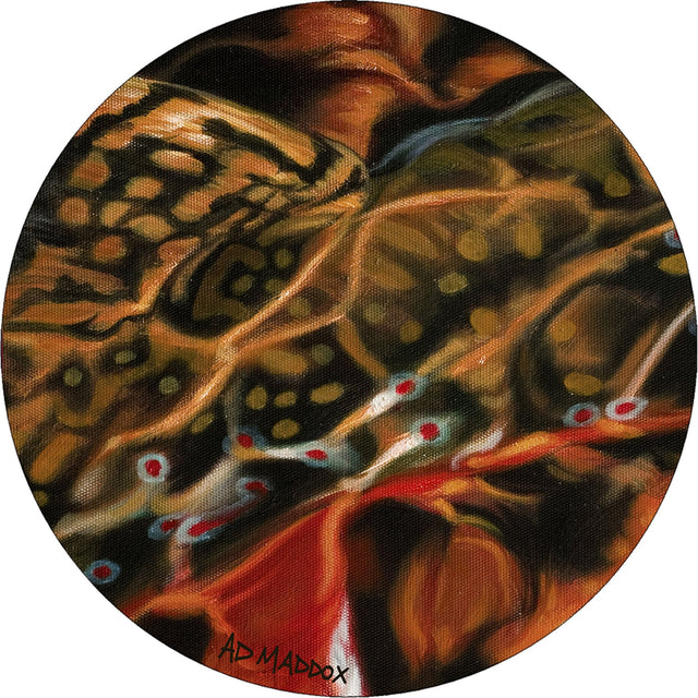 American Dakota AD Maddox Guise of a Brook Paint Rug - AM0301PNT234