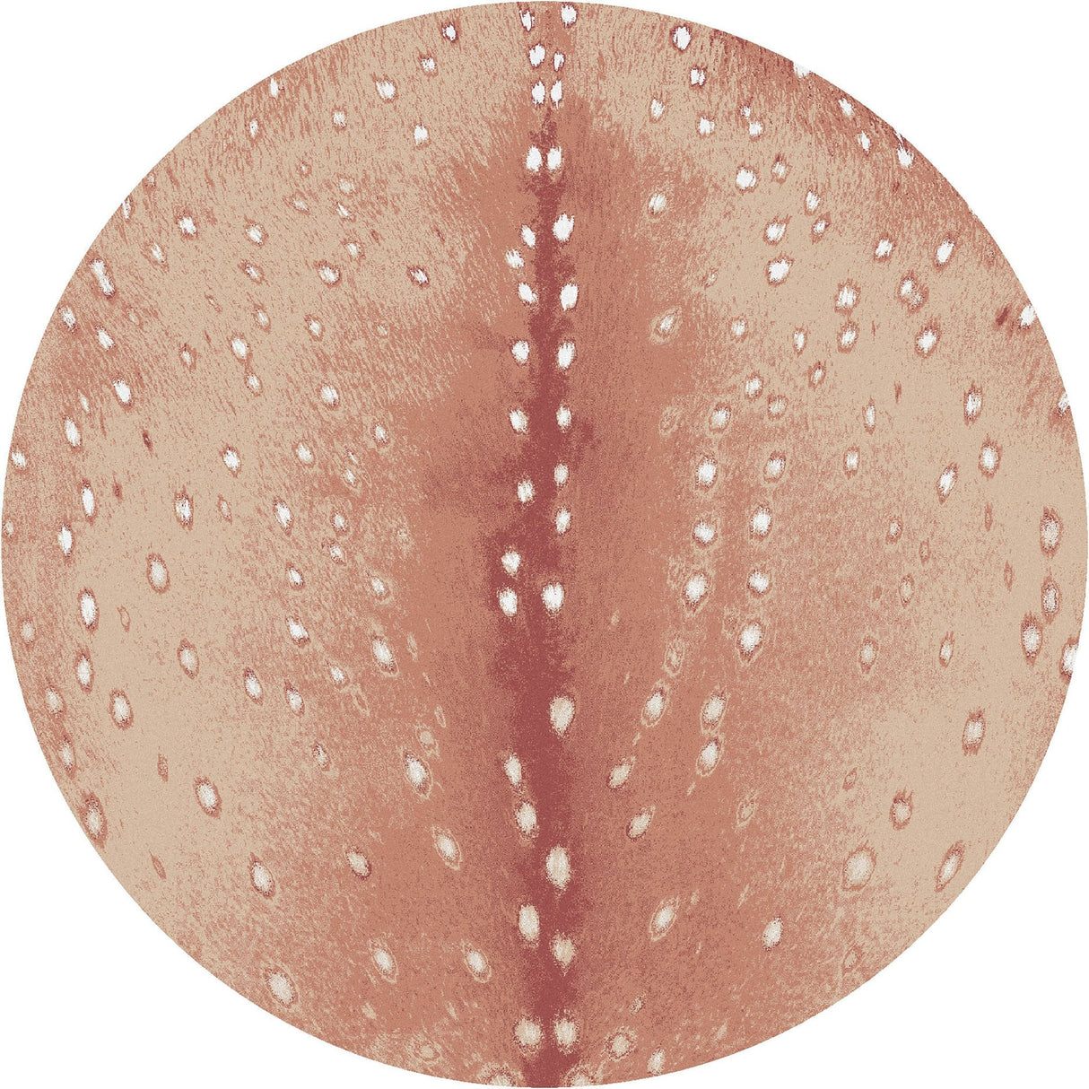 American Dakota Spotted Hide Blush Rug - 0361BLS234