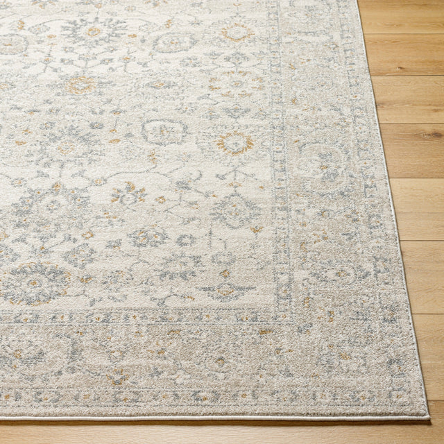Surya Alpharetta Aph-2304 Cream, Light Beige, Medium Gray, Amber Rug.