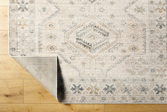 Surya Alpharetta Aph-2305 Cream, Light Beige, Medium Gray, Charcoal, Amber Rug.