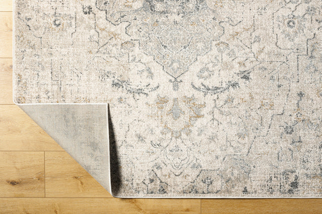 Surya Alpharetta Aph-2307 Cream, Light Beige, Medium Gray, Charcoal, Amber Rug.