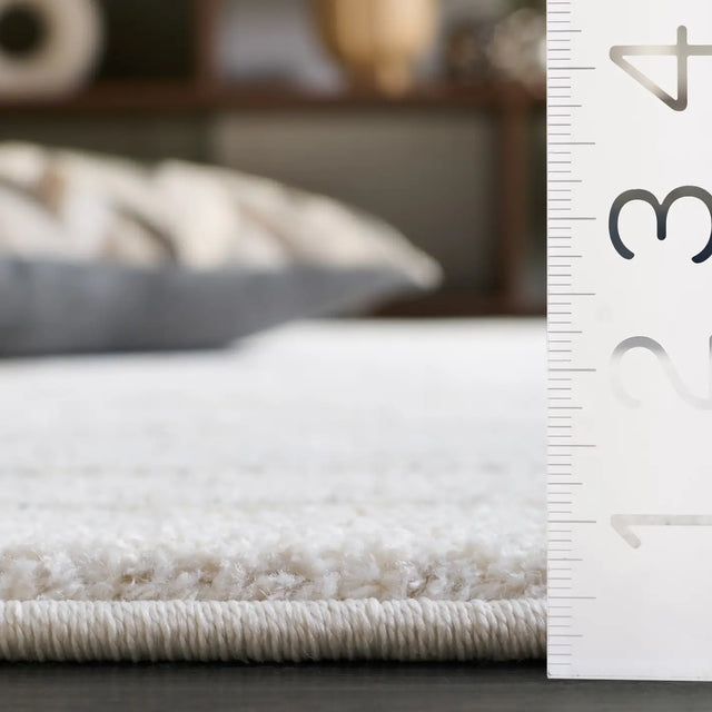 Safavieh Northport 4'-0" x 6'-0" Rug in Ivory / Grey
