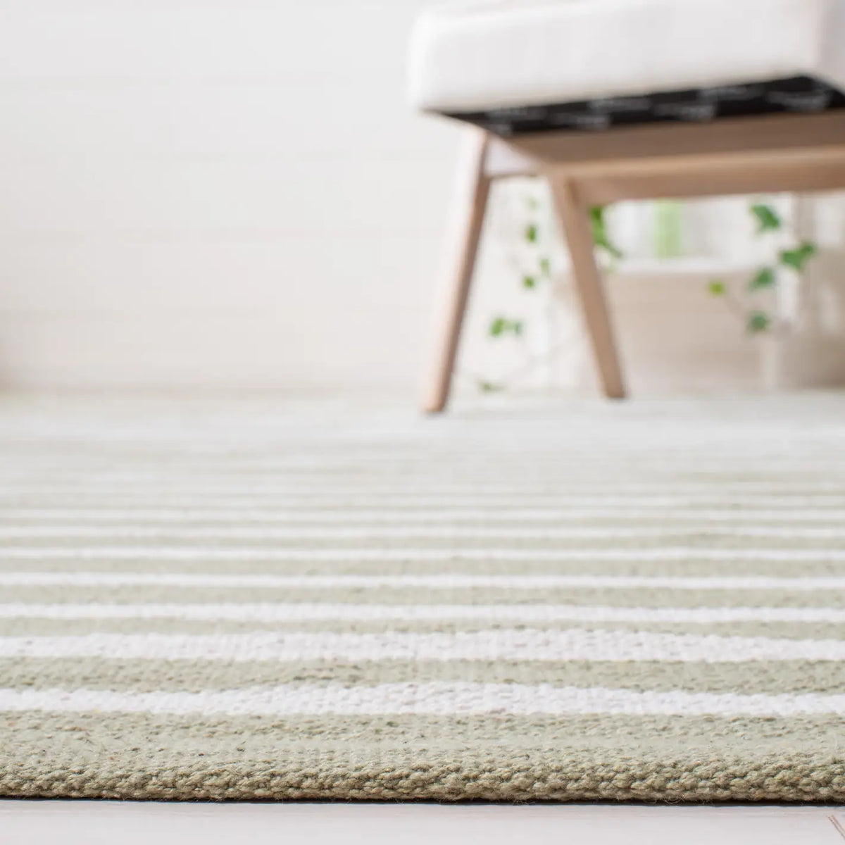 Safavieh Montauk 4'-0" x 6'-0" Rug in Light Green / Ivory