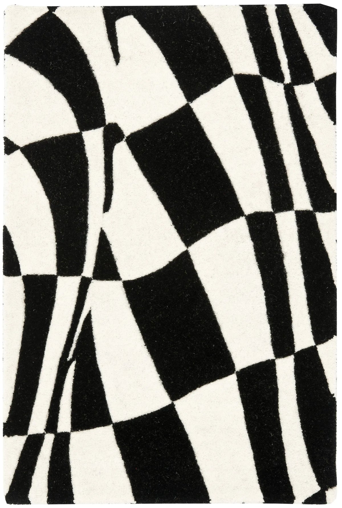 Safavieh Soho 2'-0" x 3'-0" Rug in Black / Ivory