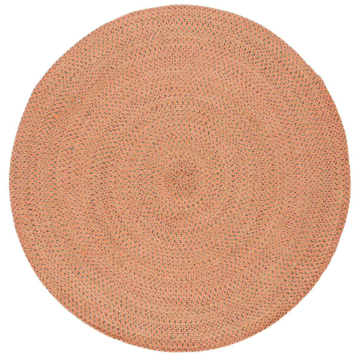 Safavieh Braided 6'-0" x 6'-0" Rug in Multi