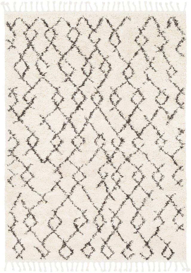 Surya Berber Shag Bbe-2301 Charcoal, Beige Rugs.