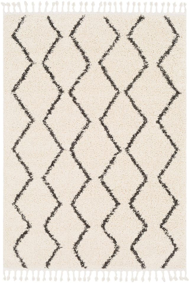 Surya Berber Shag Bbe-2303 Charcoal, Beige Rugs.