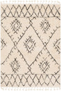 Surya Berber Shag Bbe-2305 Charcoal, Beige Rugs.