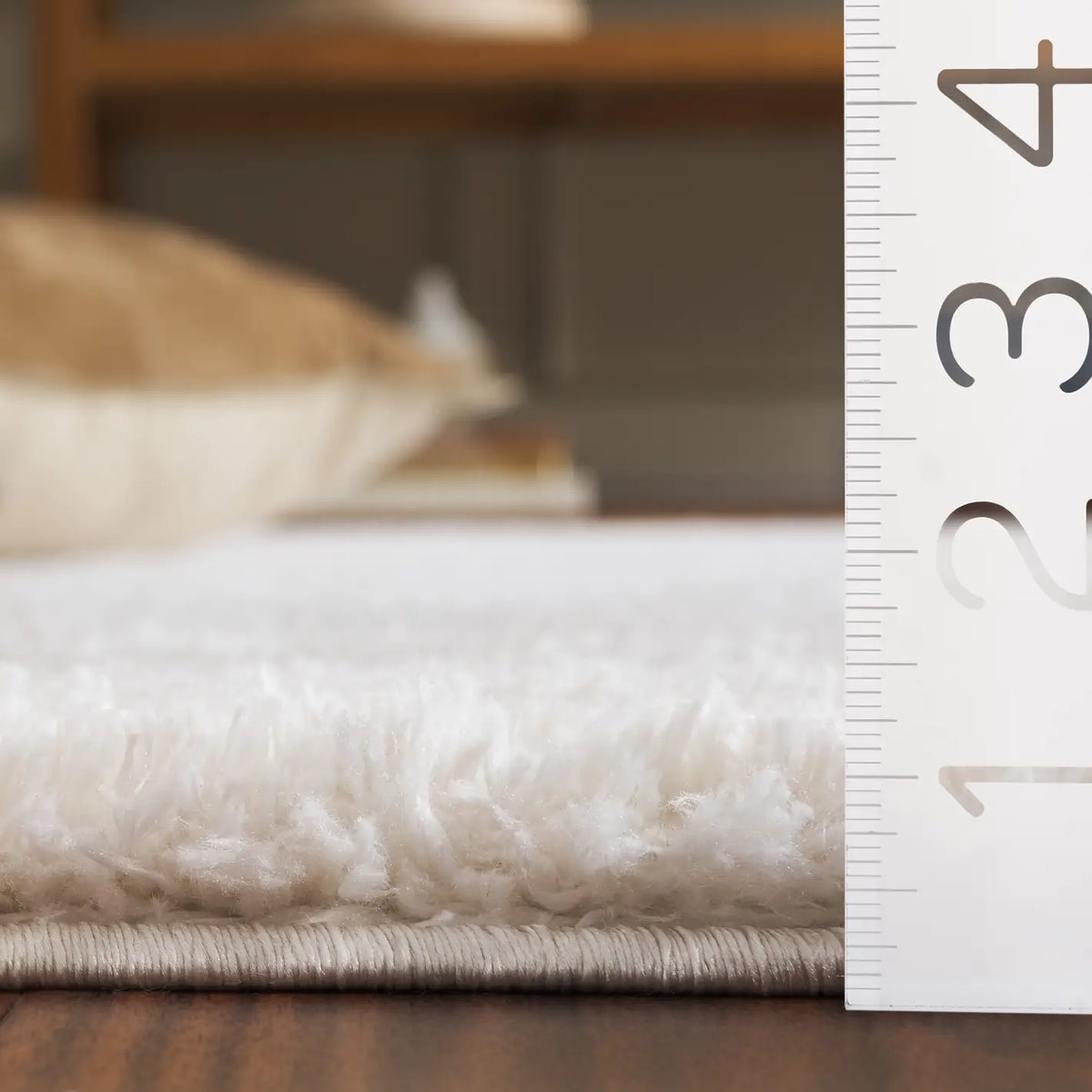 Safavieh Tahoe Shag 4'-0" x 6'-0" Rug in Ivory / Beige