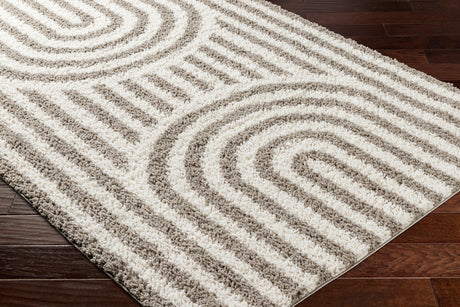 Surya Birmingham Bmm-2305 Ivory, Gray Rug.