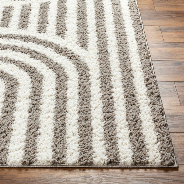 Surya Birmingham Bmm-2305 Ivory, Gray Rug.