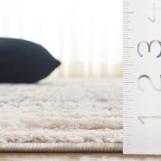 Safavieh Seattle Shag 900 4'-0" x 6'-0" Rug in Ivory / Grey