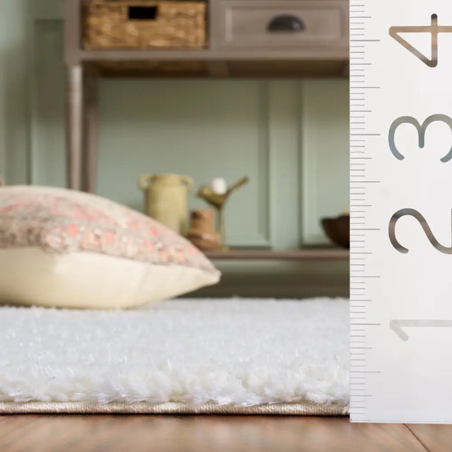 Safavieh Everett Shag 5'-3" x 7'-0" Rug in Ivory