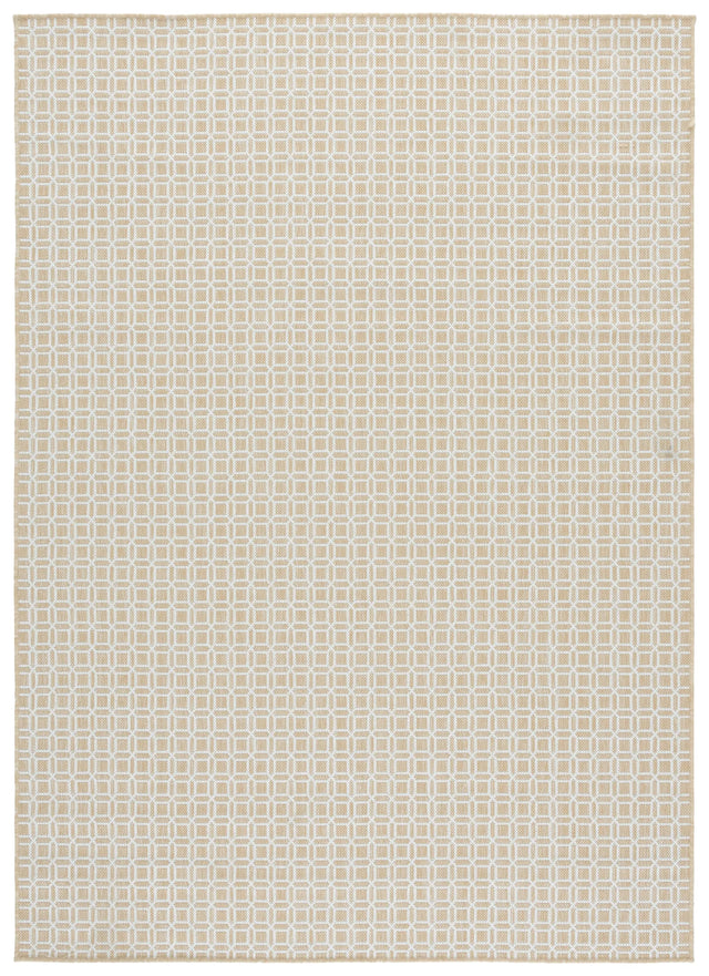 Safavieh Terrace 800 4'-0" x 6'-0" Rug in Beige / Ivory
