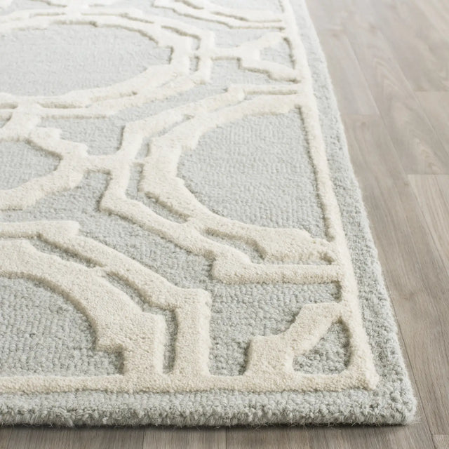 Safavieh Cambridge 2'-6" x 8'-0" Rug in Grey / Ivory