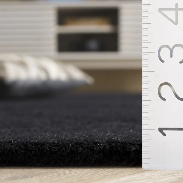 Safavieh Rodeo Drive 4'-0" x 6'-0" Rug in Black
