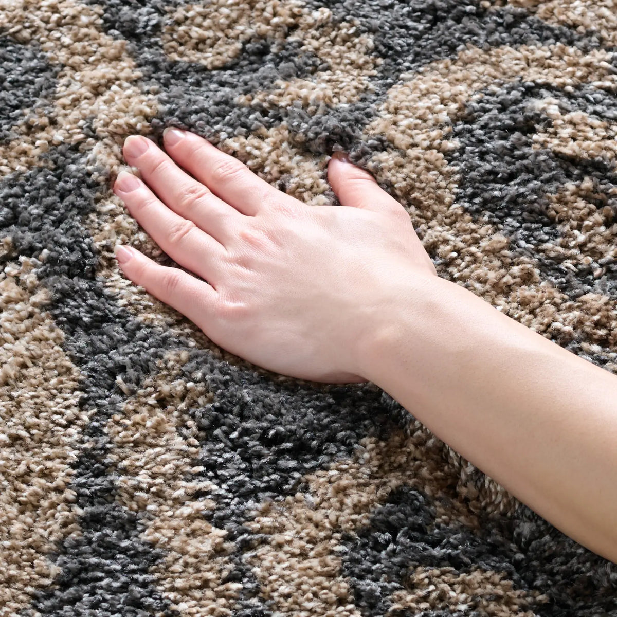 Safavieh Florida Shag 4'-0" x 6'-0" Rug in Grey / Beige