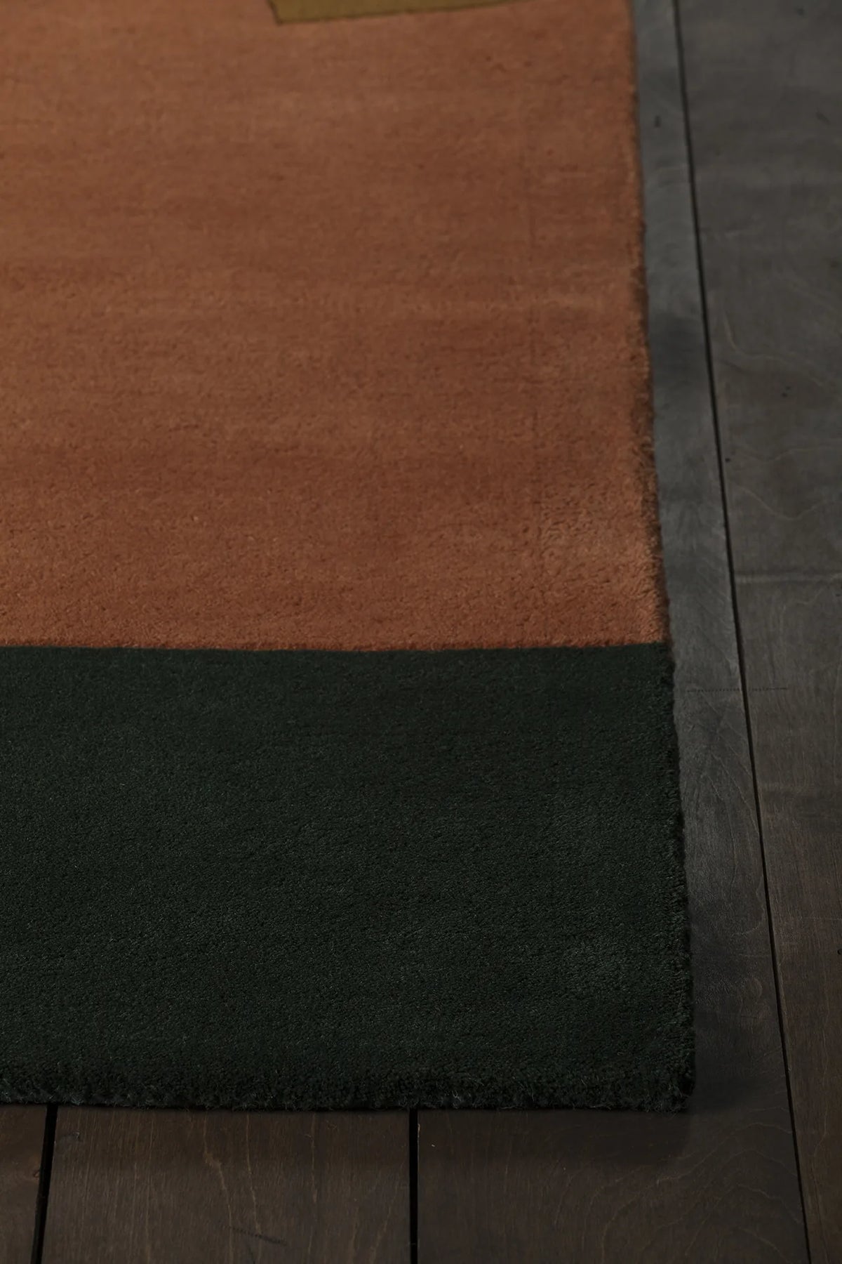 Chandra Bense Garza BEN-3014 Green and Orange rug, corner detail