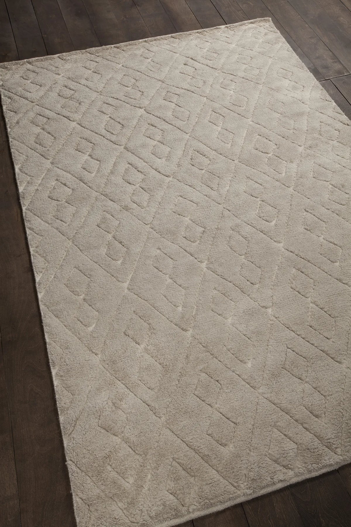 Chandra Catalina CAT-45102 Beige rug, angled side view