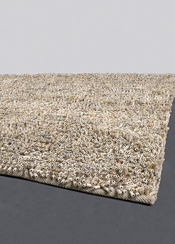 Chandra Ambiance Amb4275 Beige / Black Rugs.