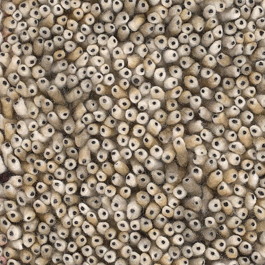 Chandra Ambiance Amb4275 Beige / Black Rugs.